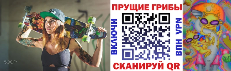 блэк спрут зеркало  Тетюши  Галлюциногенные грибы Psilocybe  где купить  